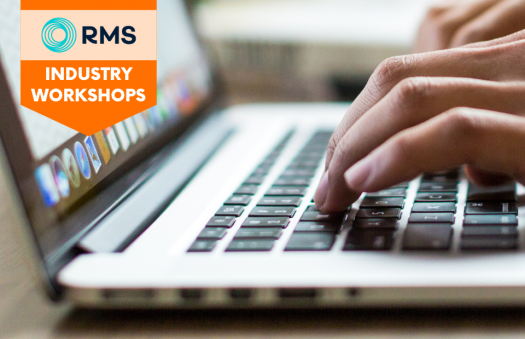 MOM What we do RMS Industry Workshops